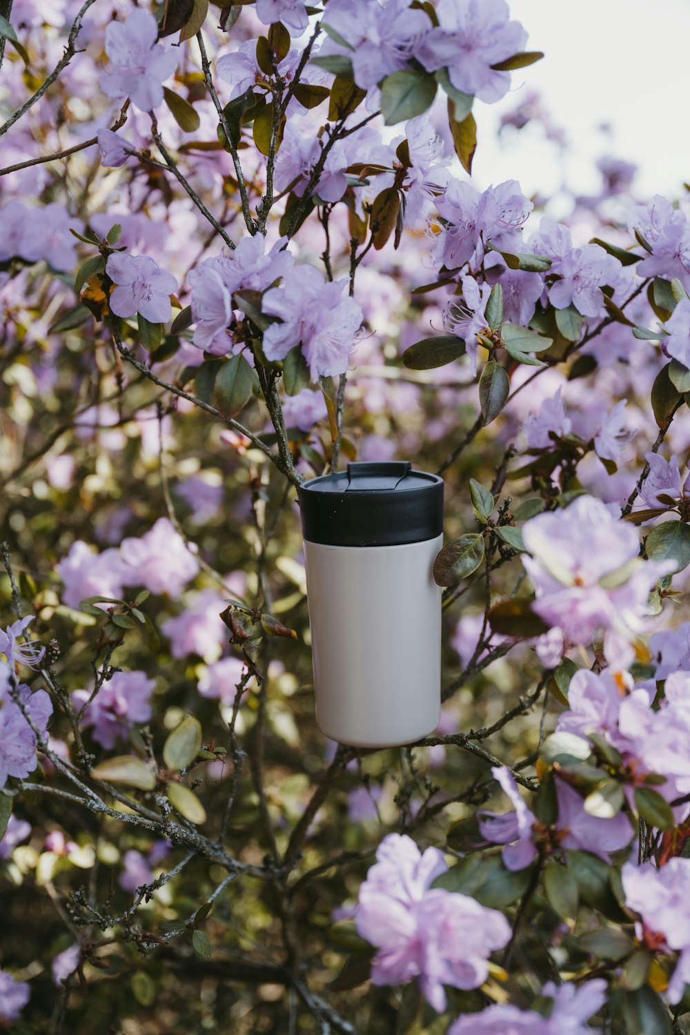 a coffee cup hanging from a tree filled with purple flowers