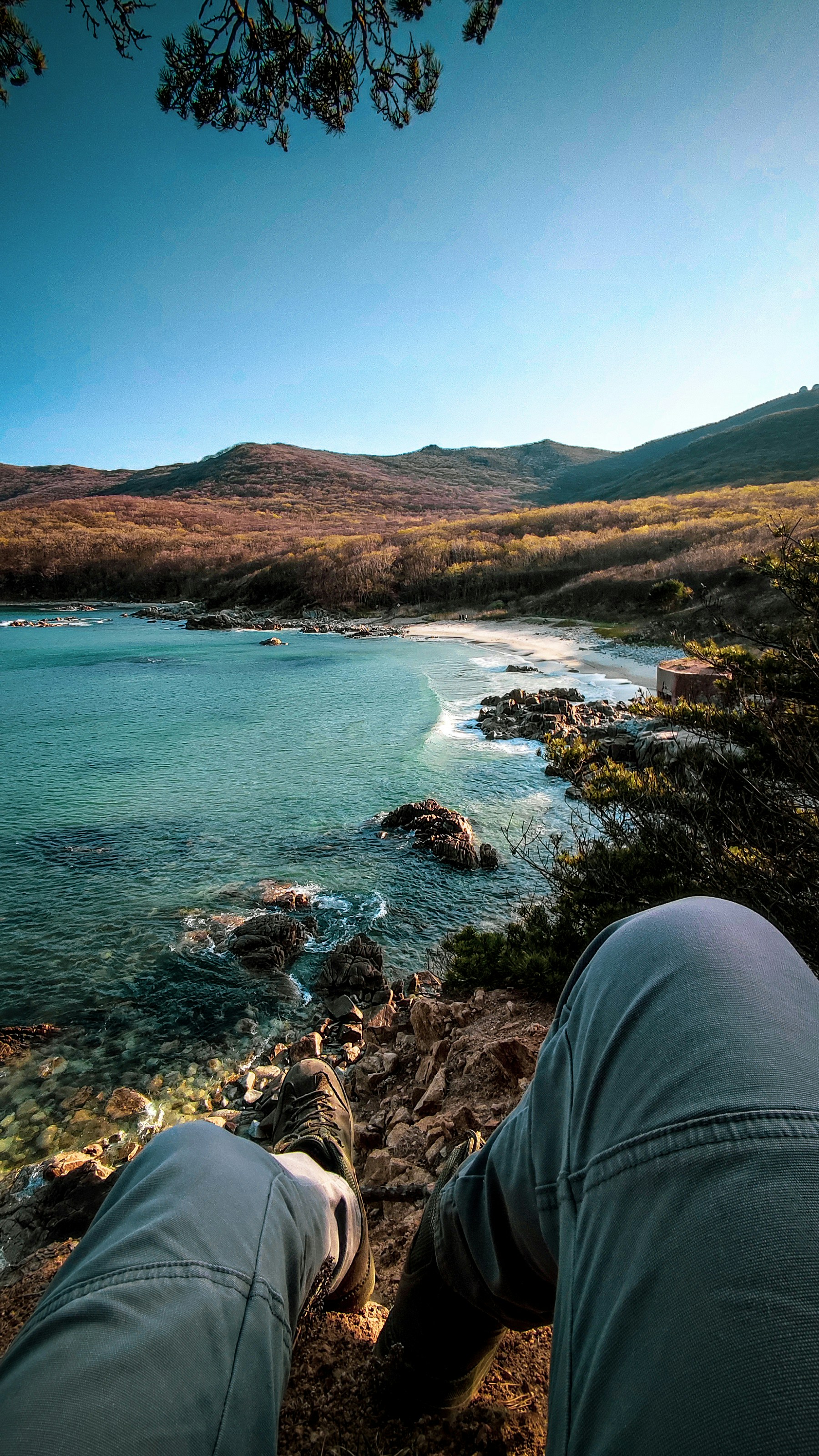 Determining Your Retirement Readiness with the Coast FIRE Calculator