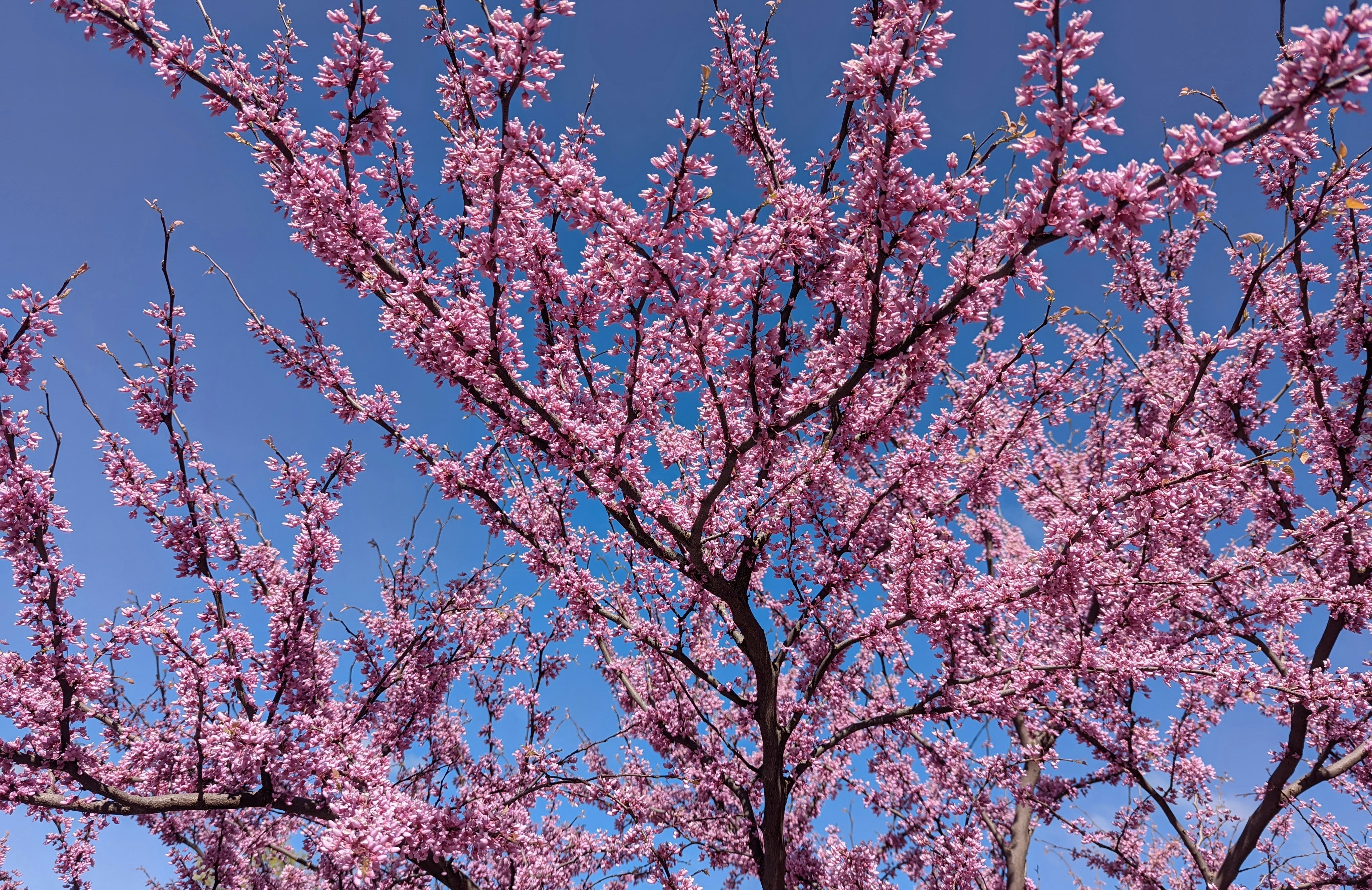 Photo by darkersolstice