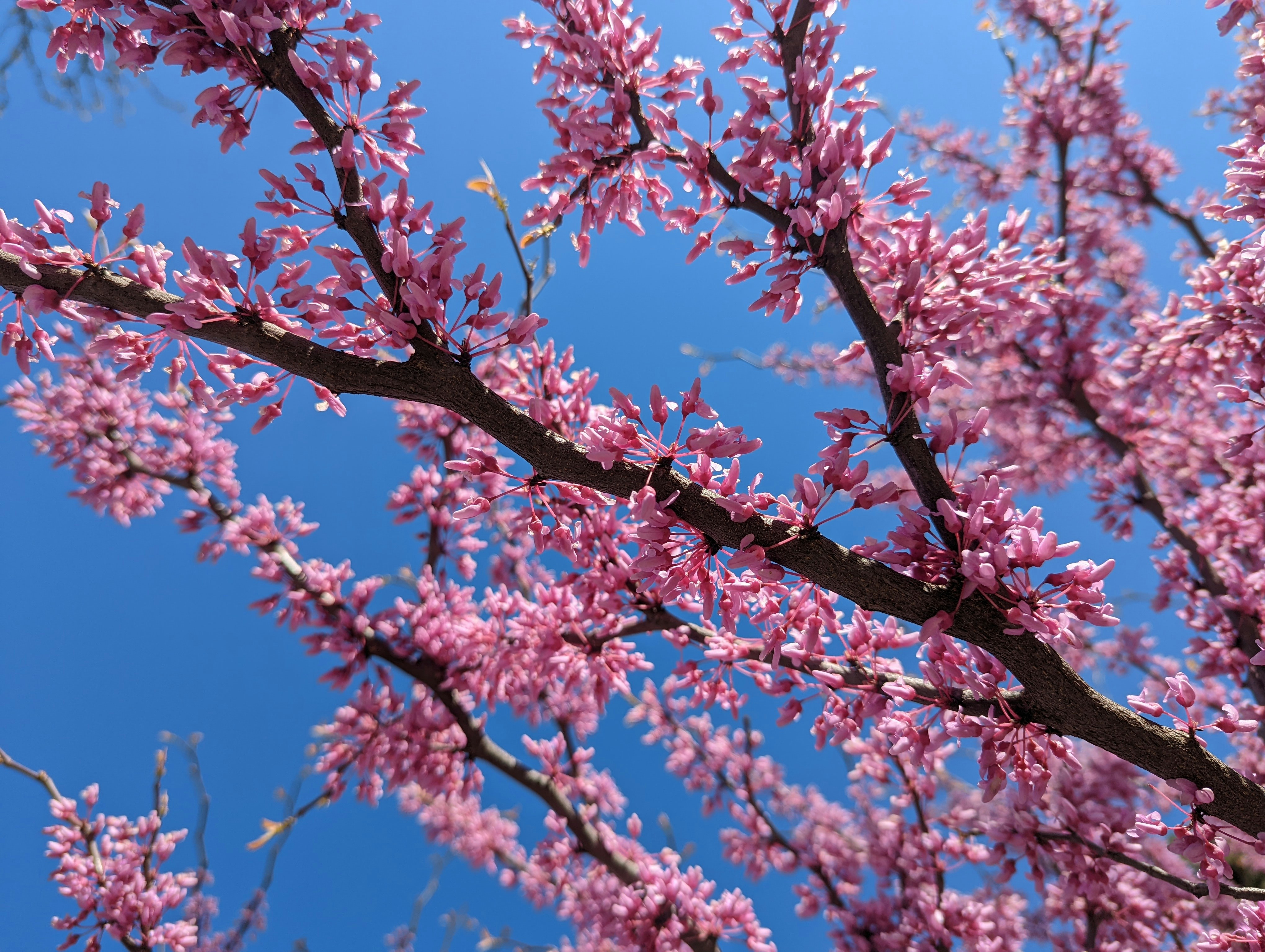 Photo by darkersolstice