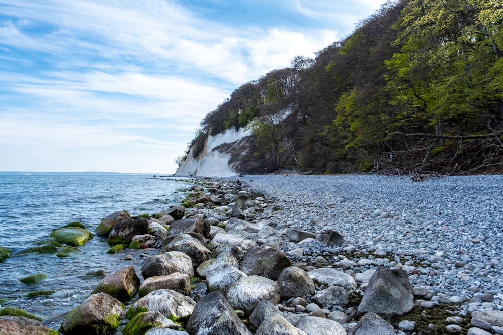 a rocky beach next to a cliff on a sunny day