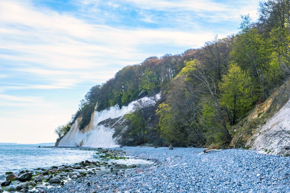a rocky beach next to a forest covered hillside