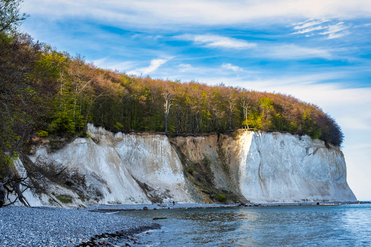 Weiße Kreidefelsen im Nationalpark Jasmund auf Rügen mit Strand und Buchenwald
