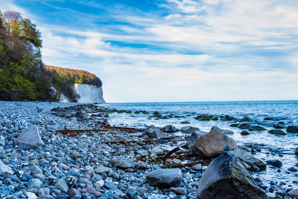 a rocky beach with a cliff in the background