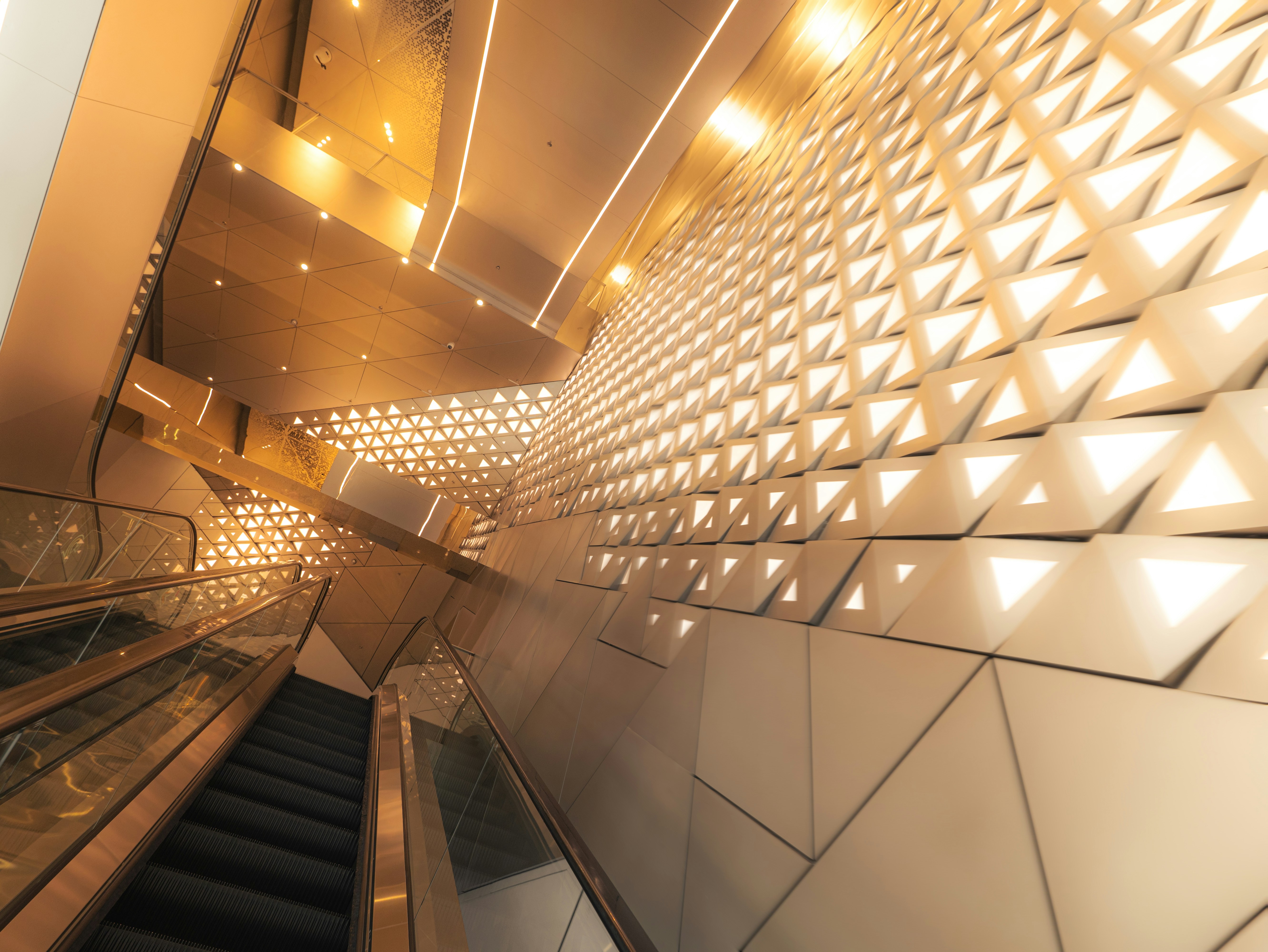 Photo by fanfandyuen