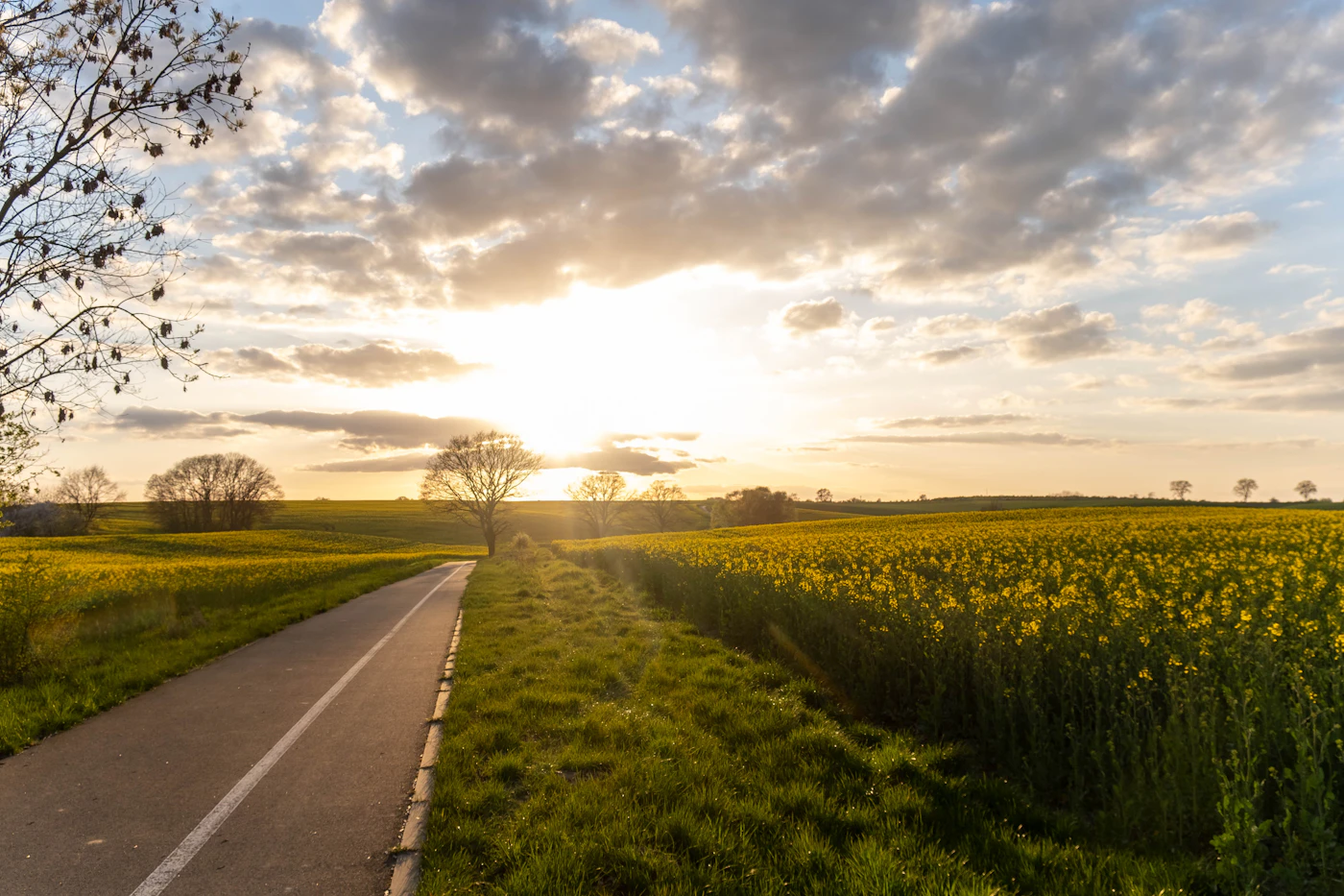 Ruhiger Weg in der Natur als Symbol für 21 Tage rauchfrei