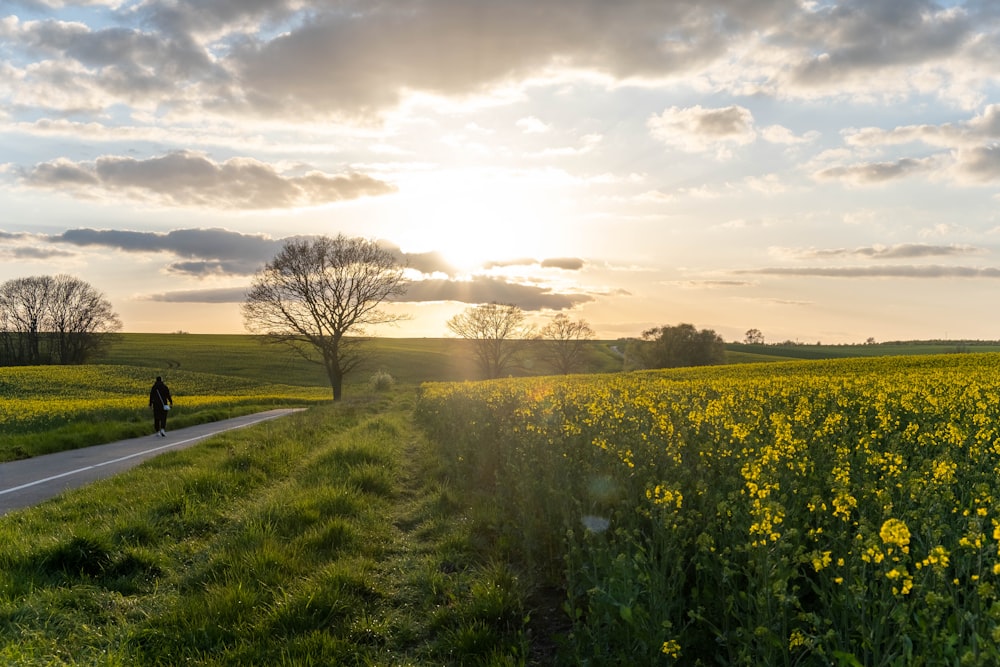 a person riding a bike down a country road