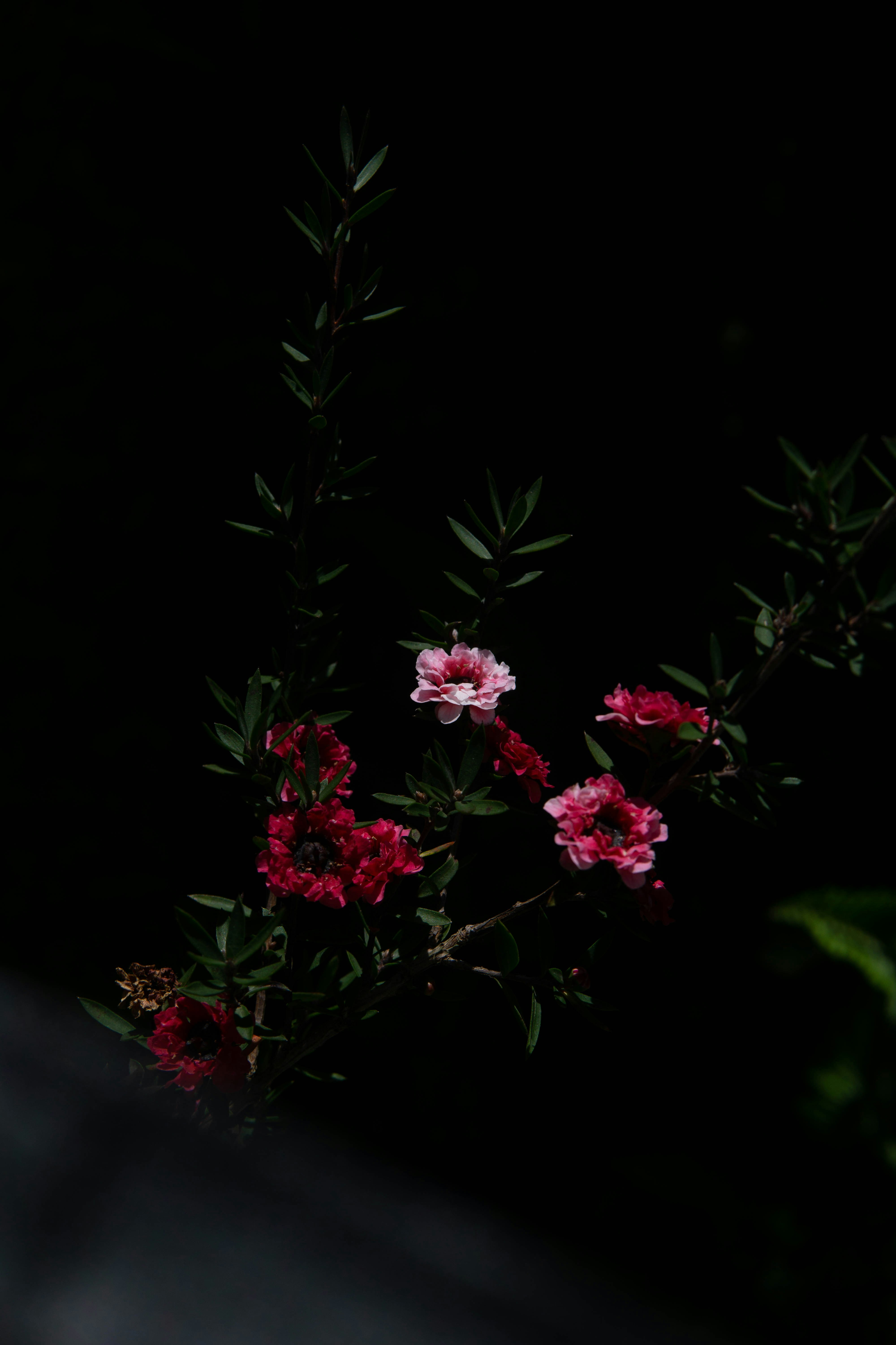 Photo by congthienhuutran07