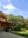 A well-maintained garden area with lush green trees and bushes alongside a building with a tiled roof and multiple windows. The sky is clear with a few fluffy white clouds, adding a serene aspect to the environment.