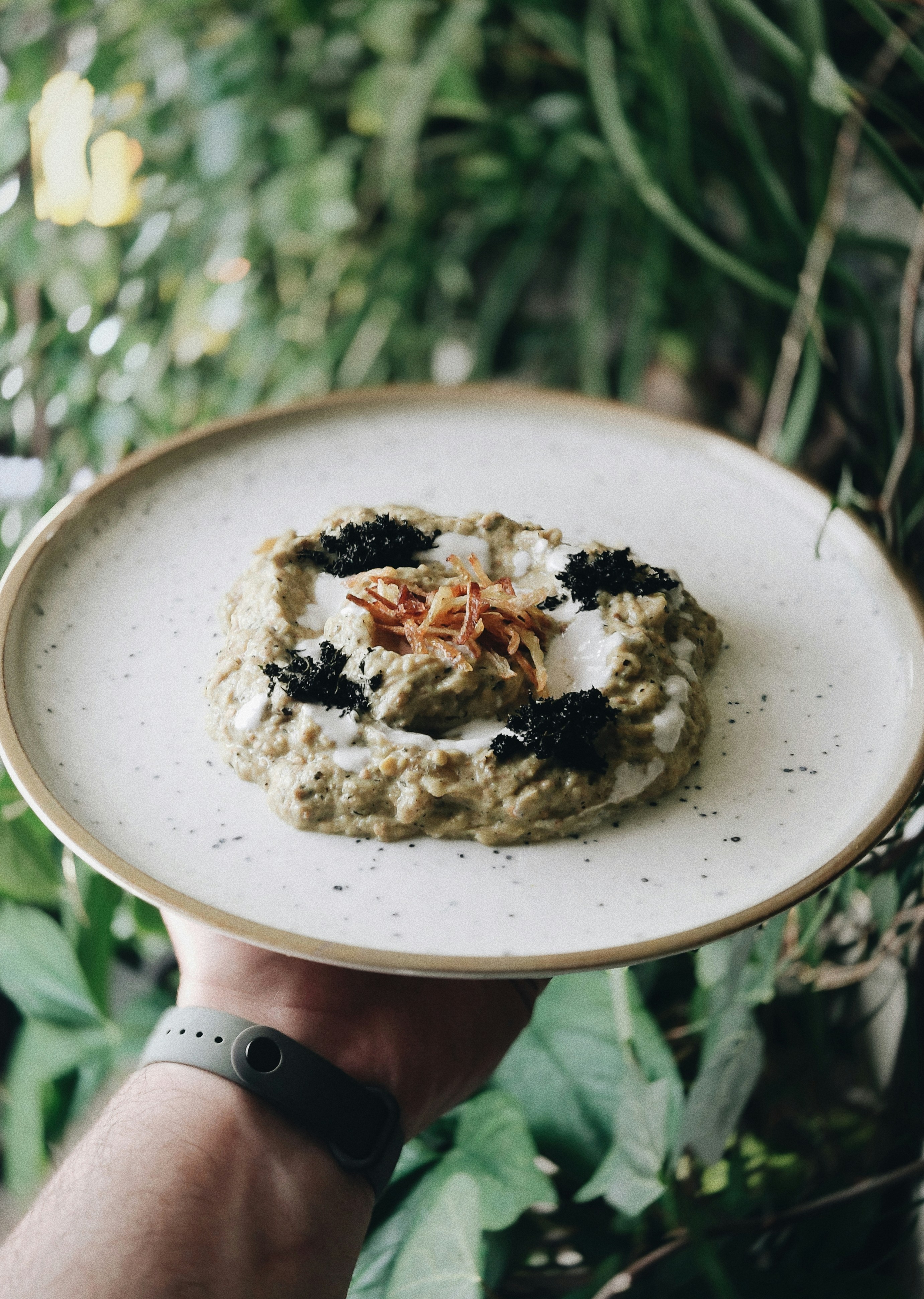 a hand holding a white plate with food on it