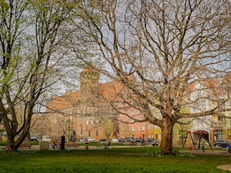 A park landscape with large, bare trees and scattered benches. People are seen sitting on the benches and walking in the park. A playground area with a swing set is visible to the right. Behind the trees, there are buildings with colorful facades and a red-roofed church is prominently visible.