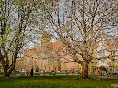 A park landscape with large, bare trees and scattered benches. People are seen sitting on the benches and walking in the park. A playground area with a swing set is visible to the right. Behind the trees, there are buildings with colorful facades and a red-roofed church is prominently visible.
