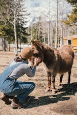a person kneeling down petting a small horse