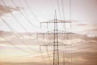 A series of tall electrical power lines stretch across the sky, supported by metal lattice towers. The landscape has a serene quality with soft, cloudy skies in the background, creating a contrast between nature and industry.