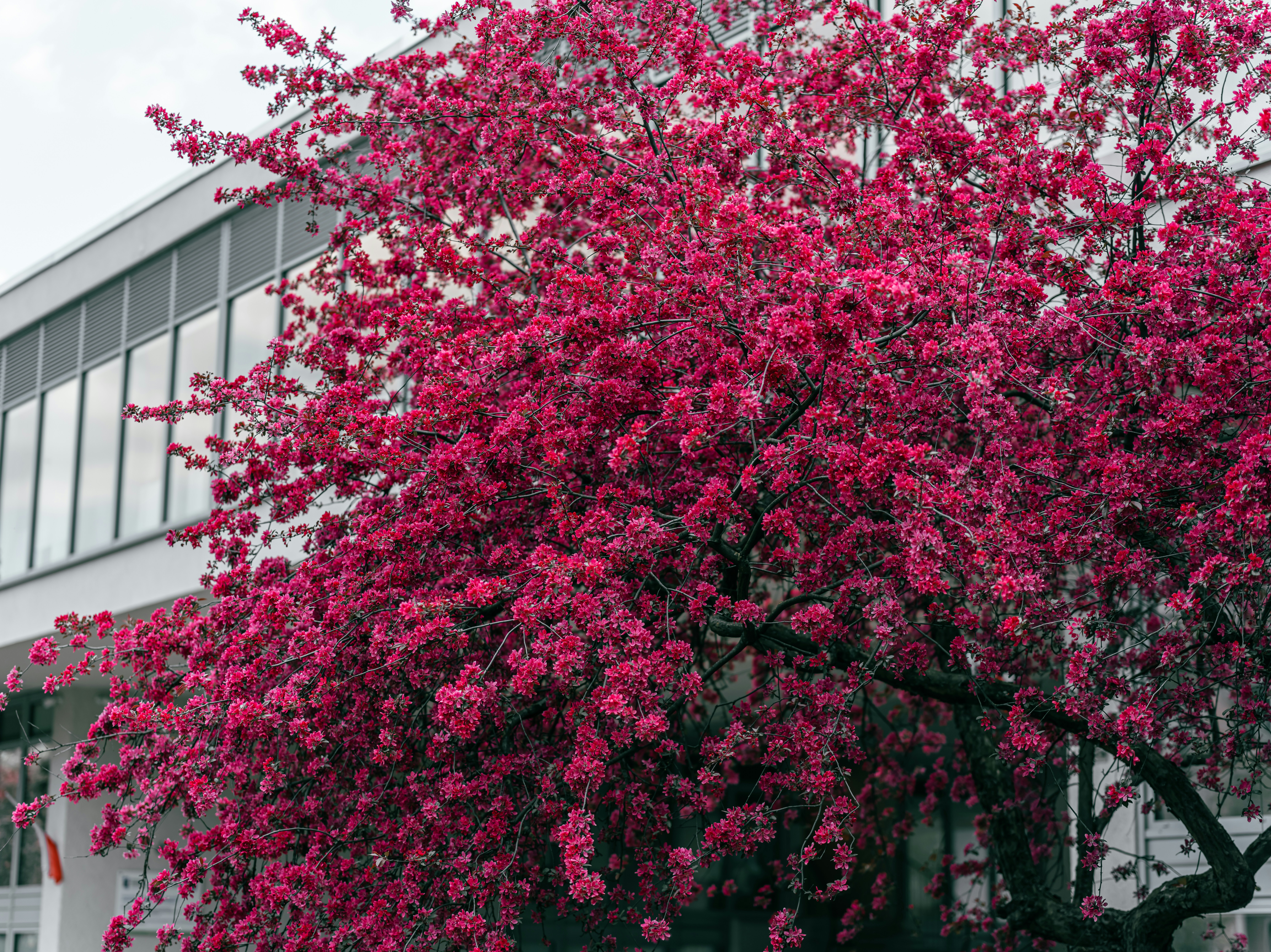 Photo by egorkomarov