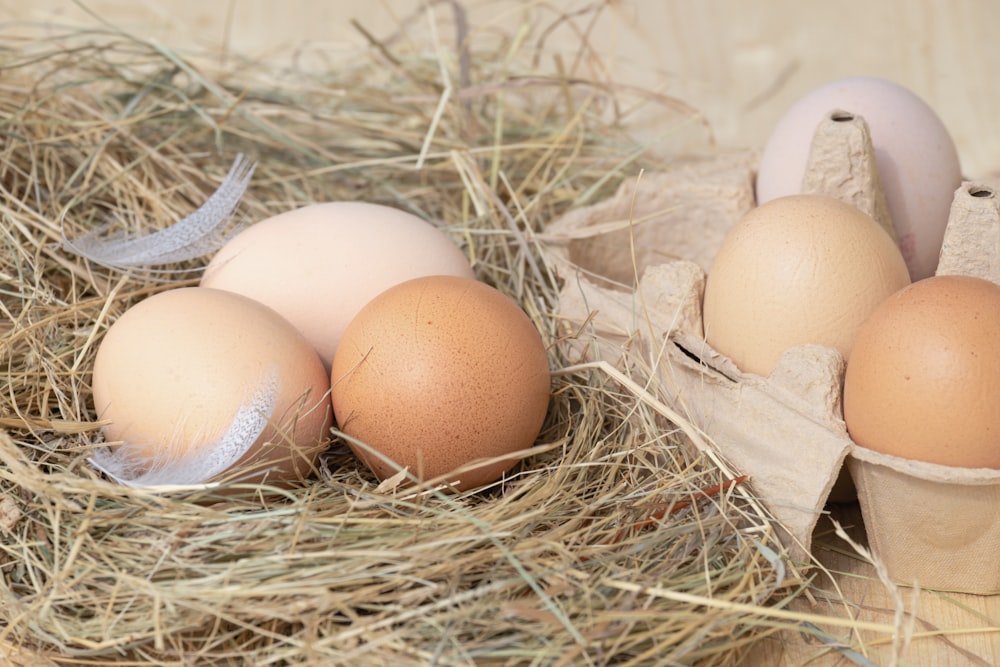 a group of eggs in a carton of hay