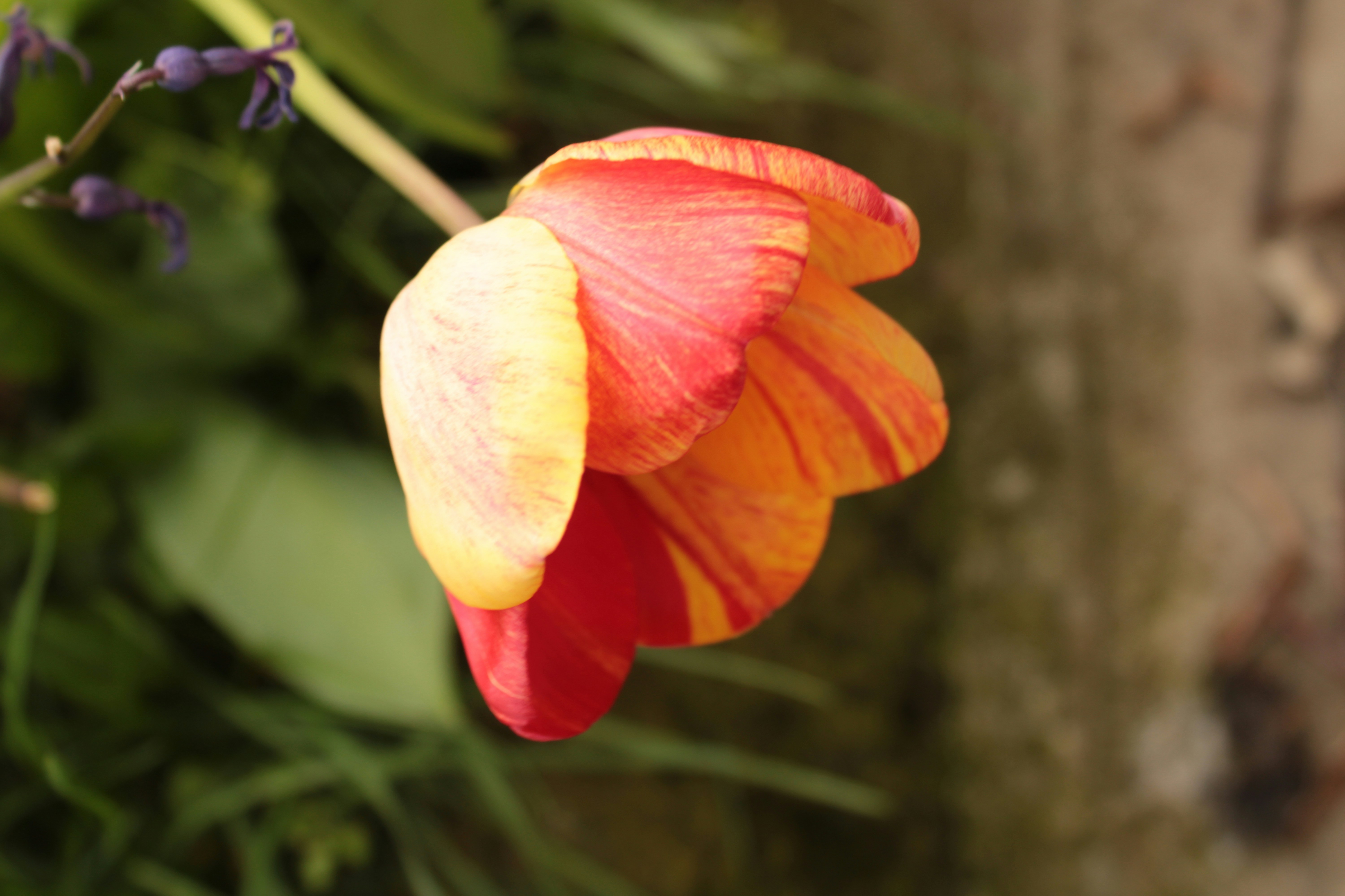 Photo by thorai9akira