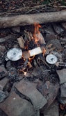 A campfire surrounded by large stones with two metallic pots heating over the flames. Logs and twigs are arranged to sustain the fire, and a large fallen log lies in the background.