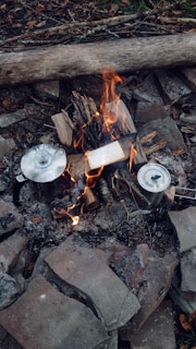 A campfire surrounded by large stones with two metallic pots heating over the flames. Logs and twigs are arranged to sustain the fire, and a large fallen log lies in the background.