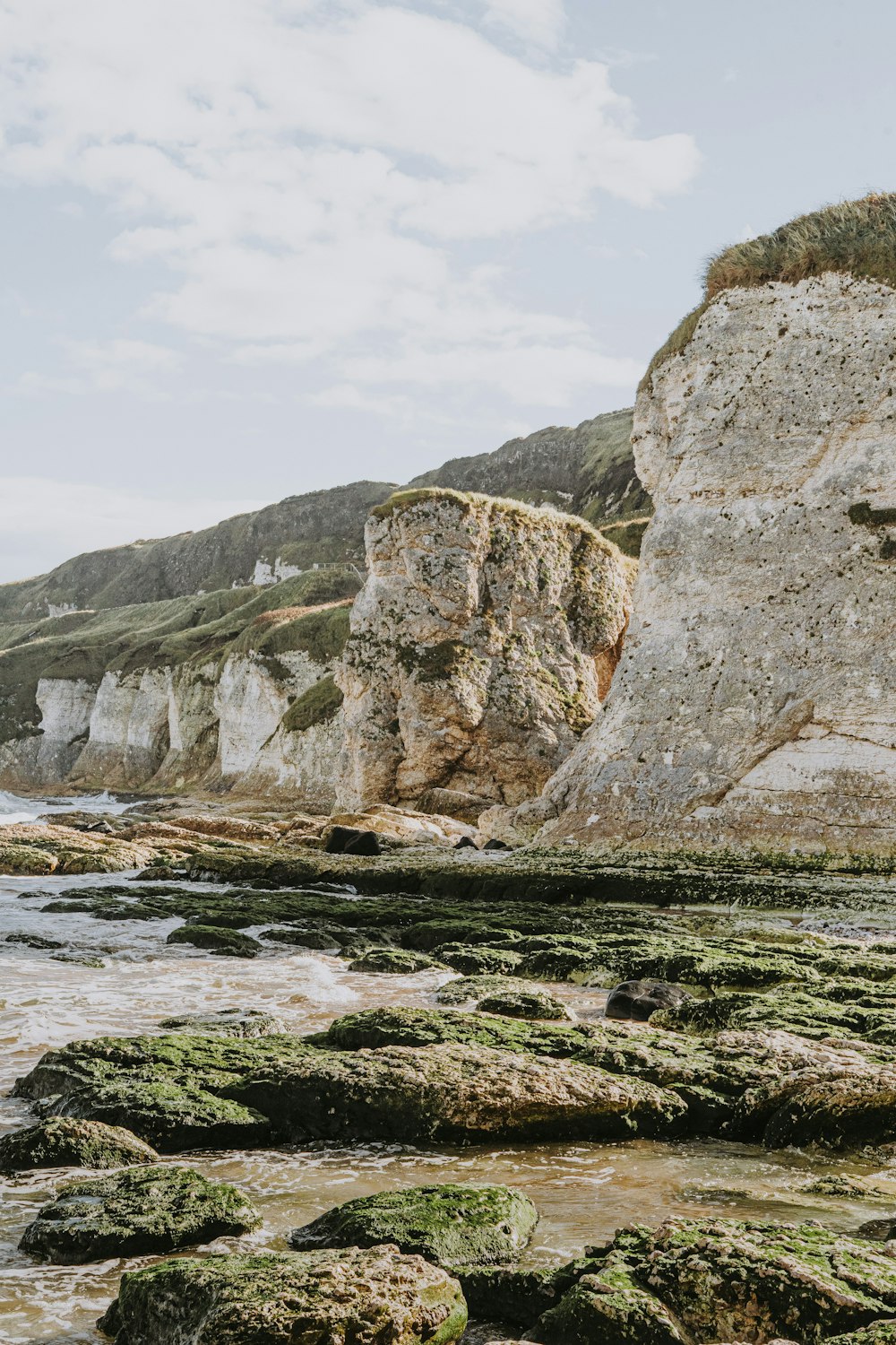 a rocky shore with green moss growing on the rocks