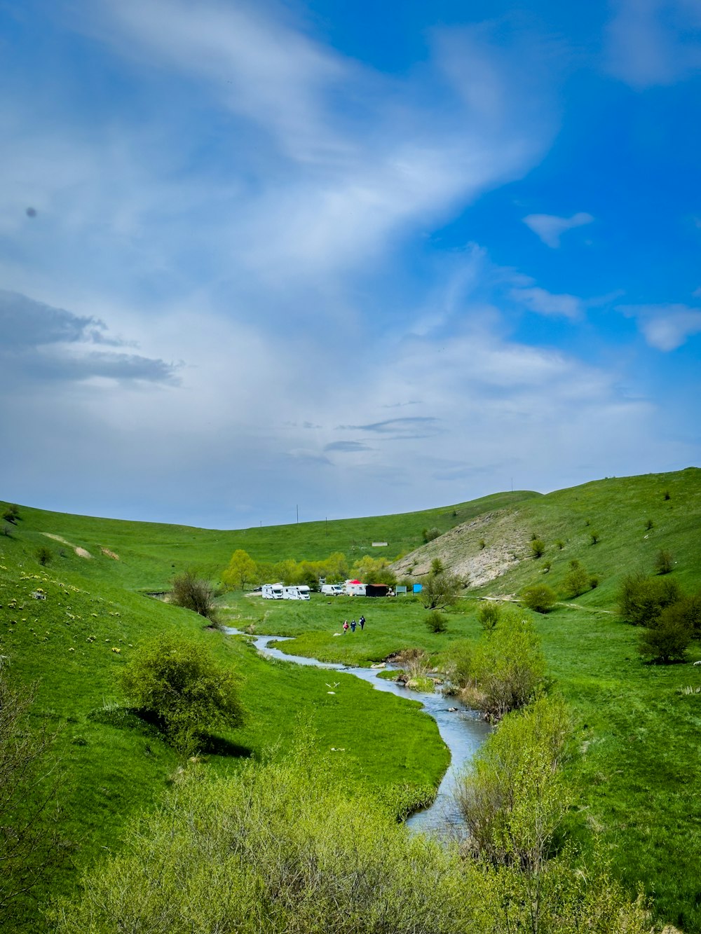 un arroyo que atraviesa un exuberante campo verde