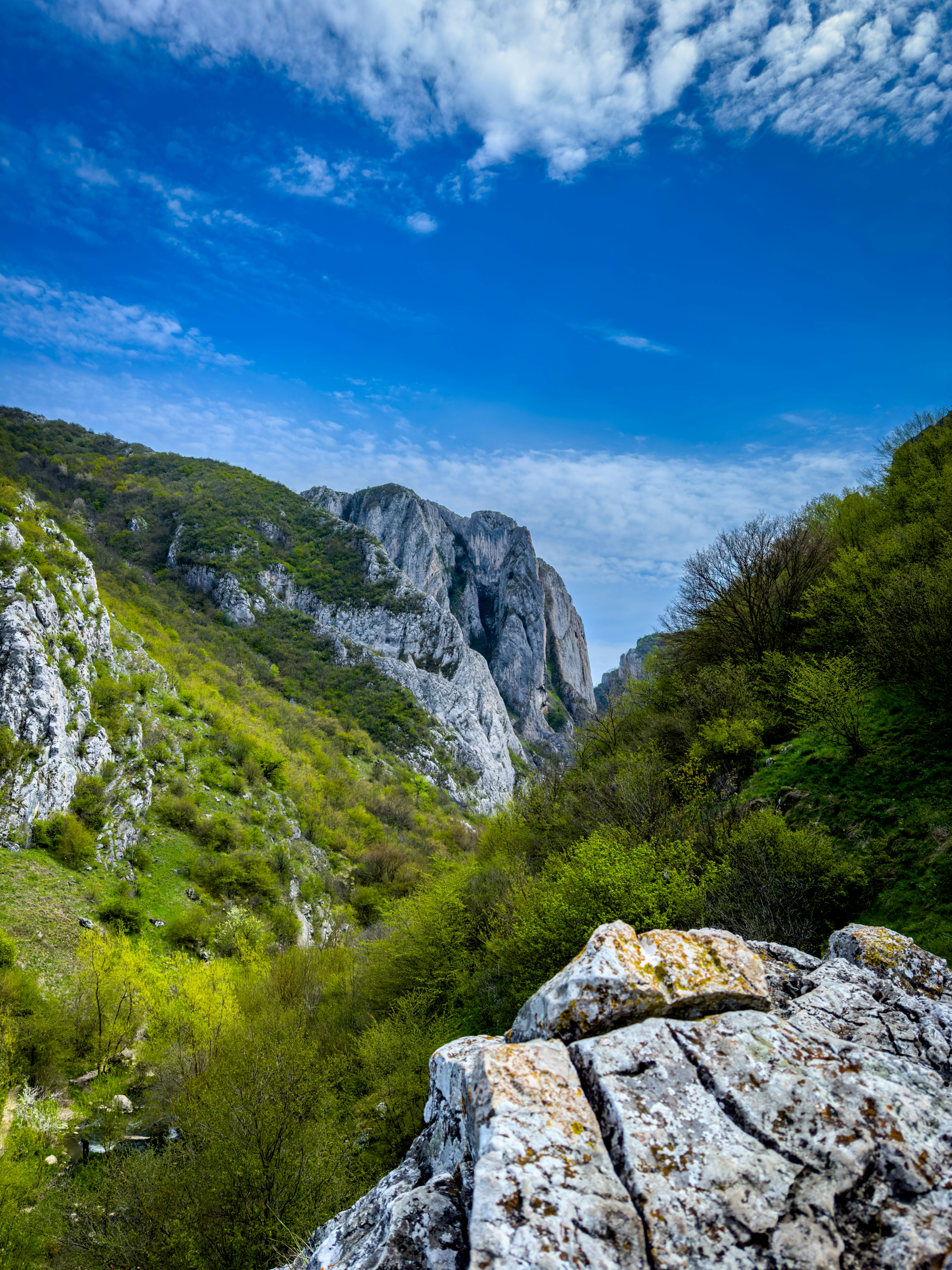 Photo by msandrab