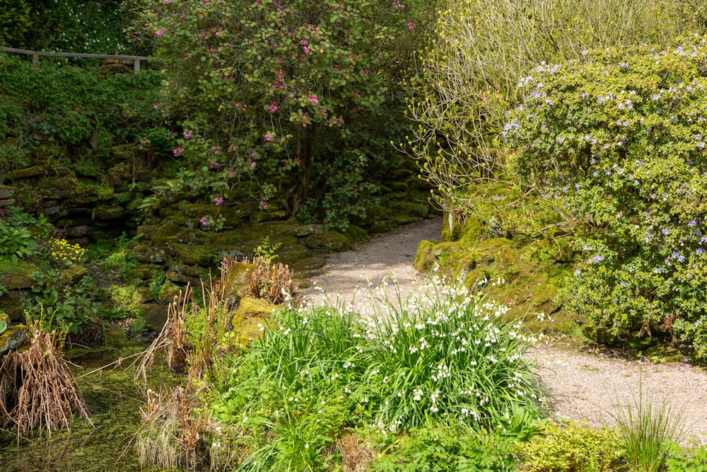 a path through a lush green forest filled with flowers