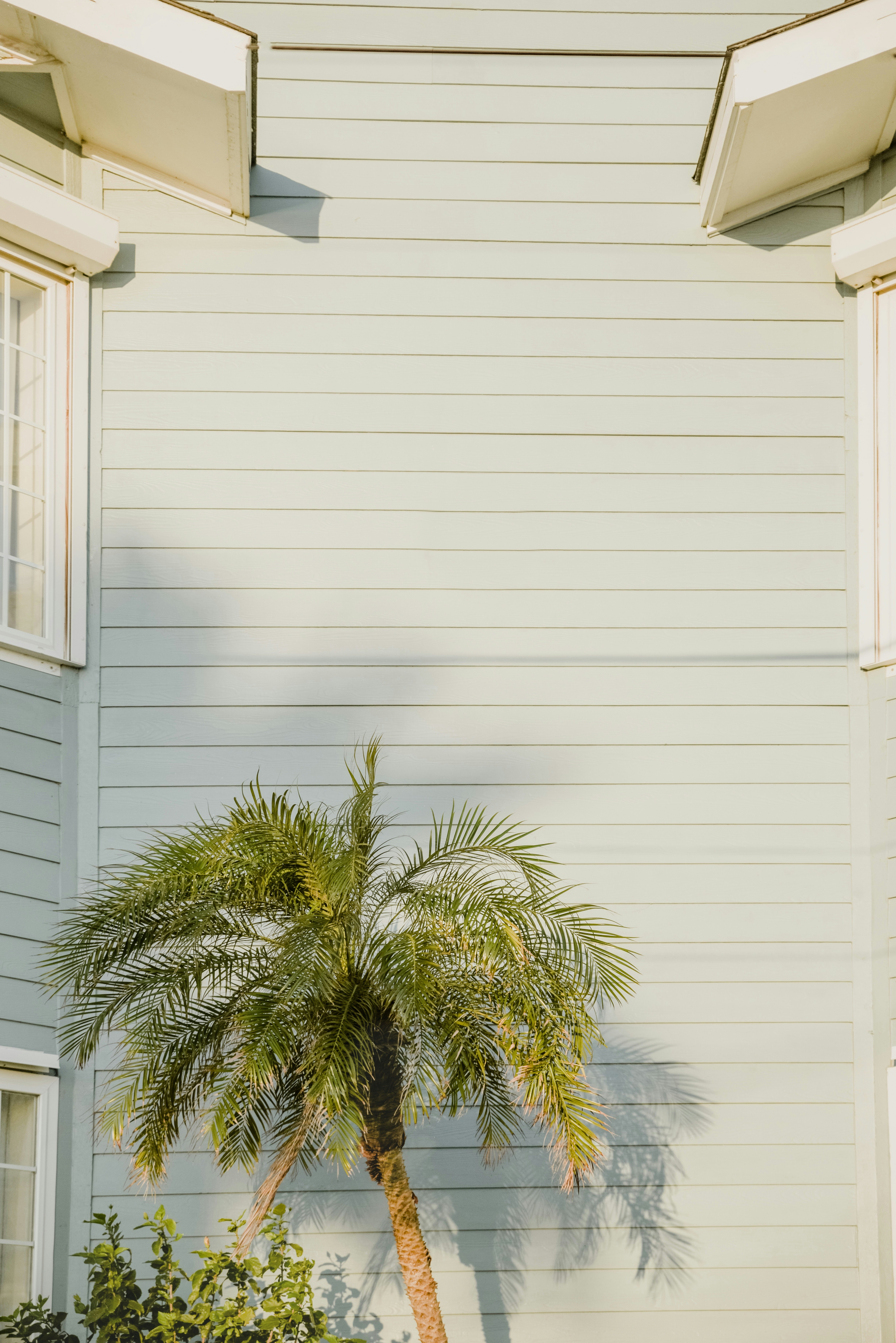 Photo by anitaaustvika