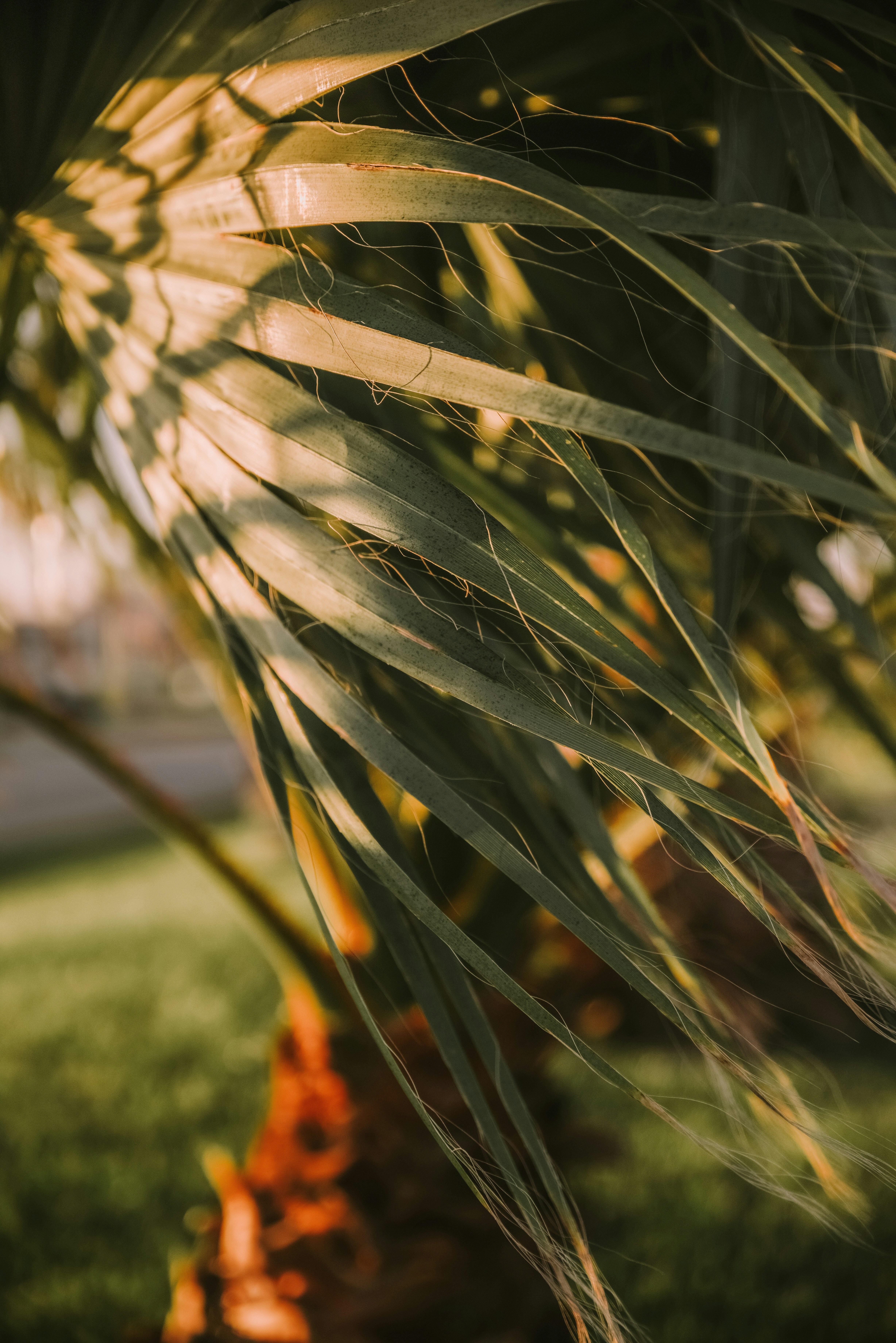 Photo by anitaaustvika