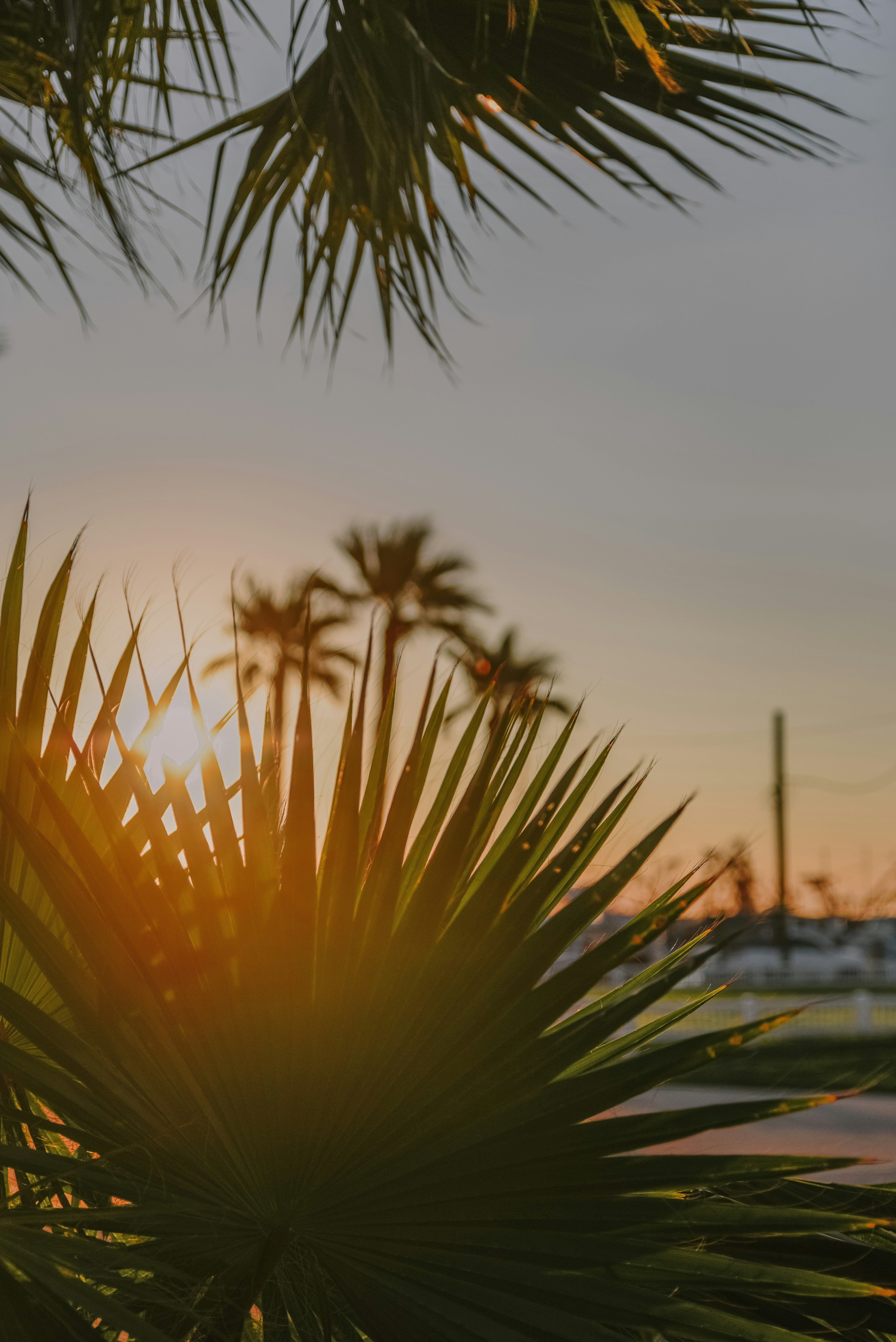 Photo by anitaaustvika