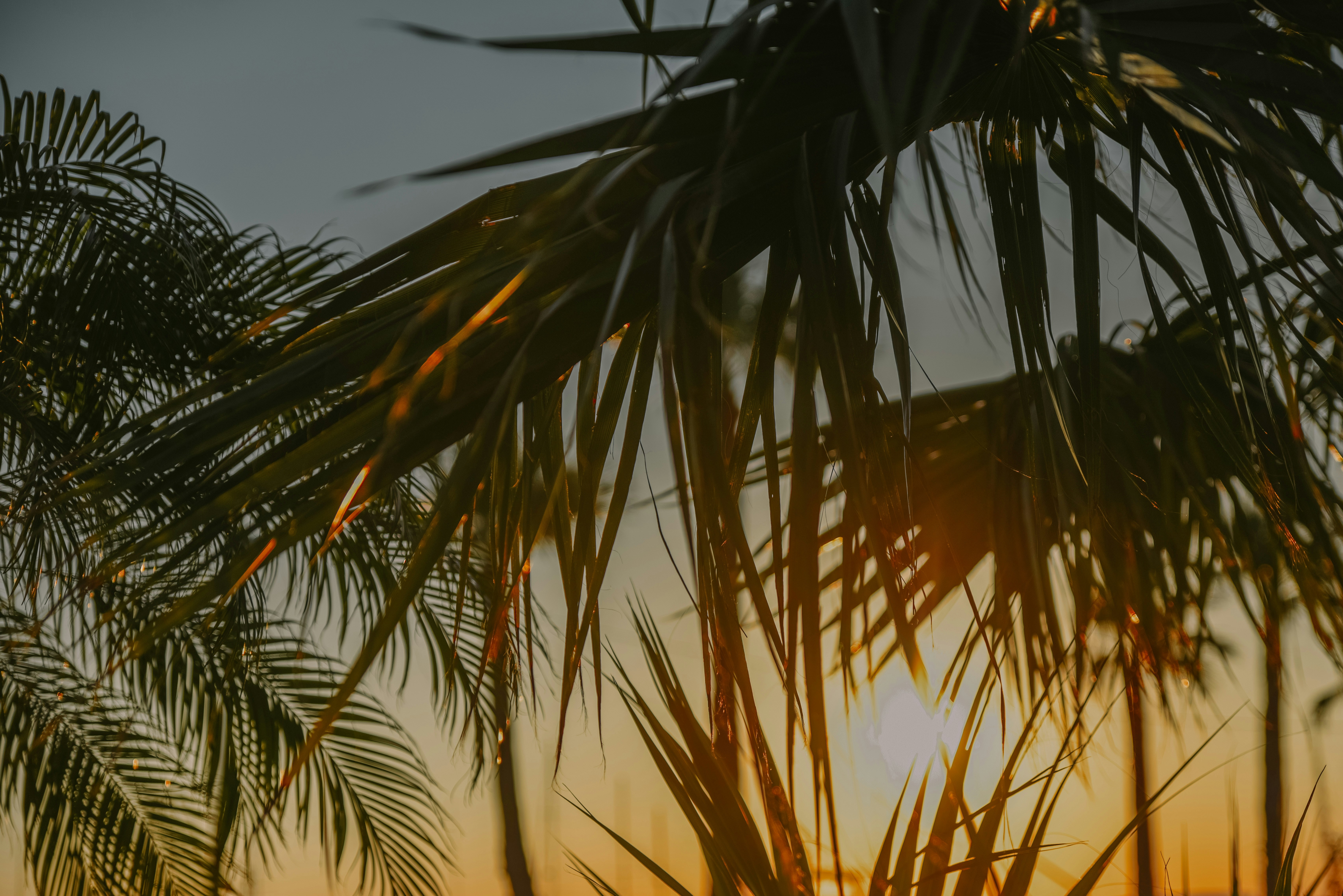 Photo by anitaaustvika