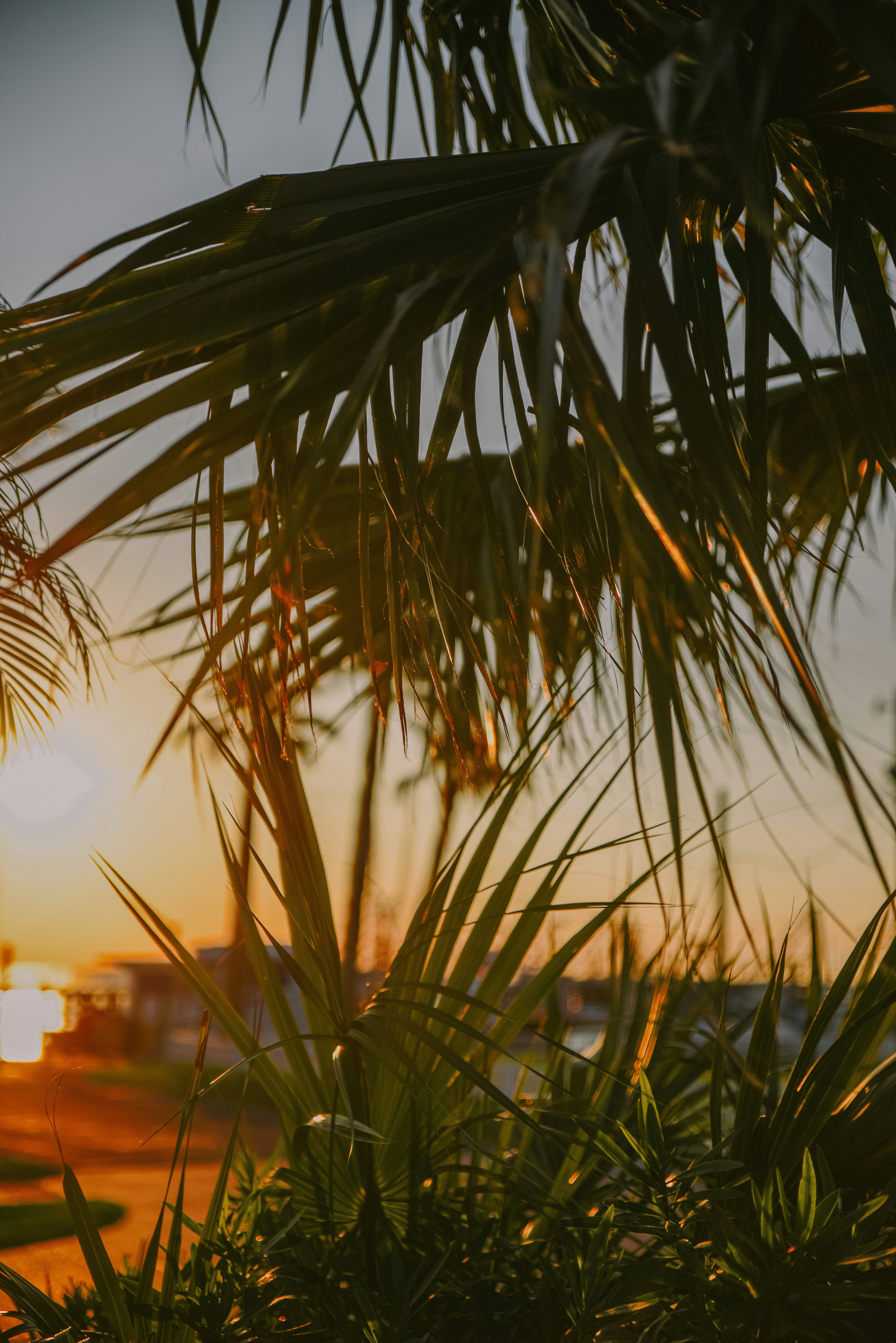 Photo by anitaaustvika