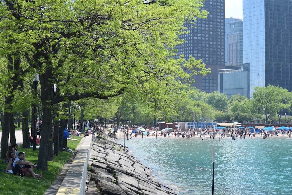 a group of people walking along a river next to tall buildings