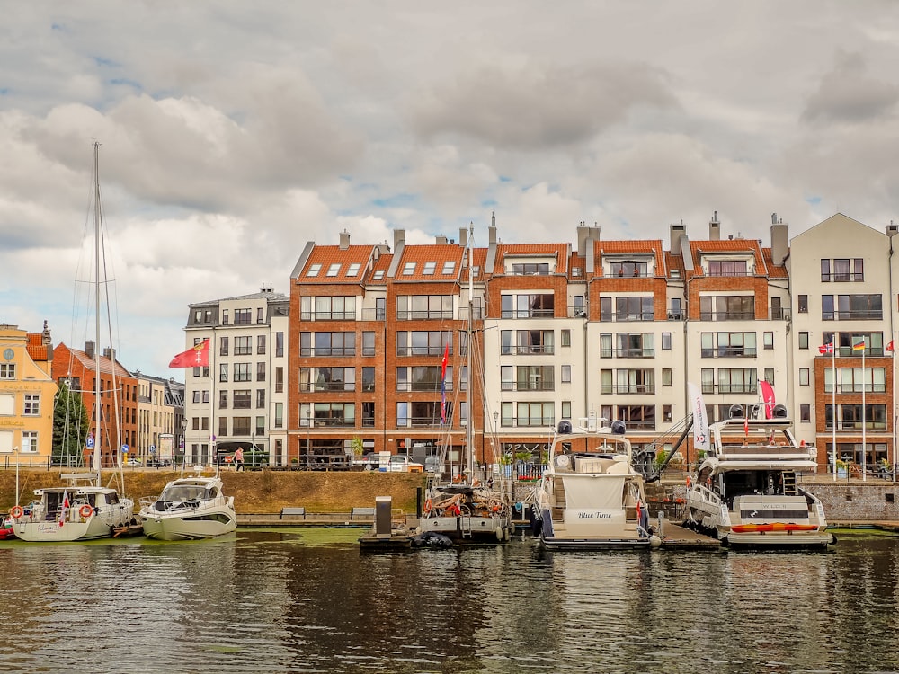 a group of boats are docked in a harbor