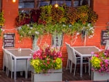 Cozy outdoor seating area of a small Tepoztlán eatery surrounded by vibrant plants.