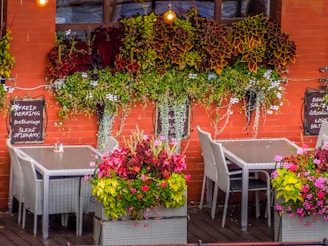 A welcoming community clubhouse with outdoor seating.
