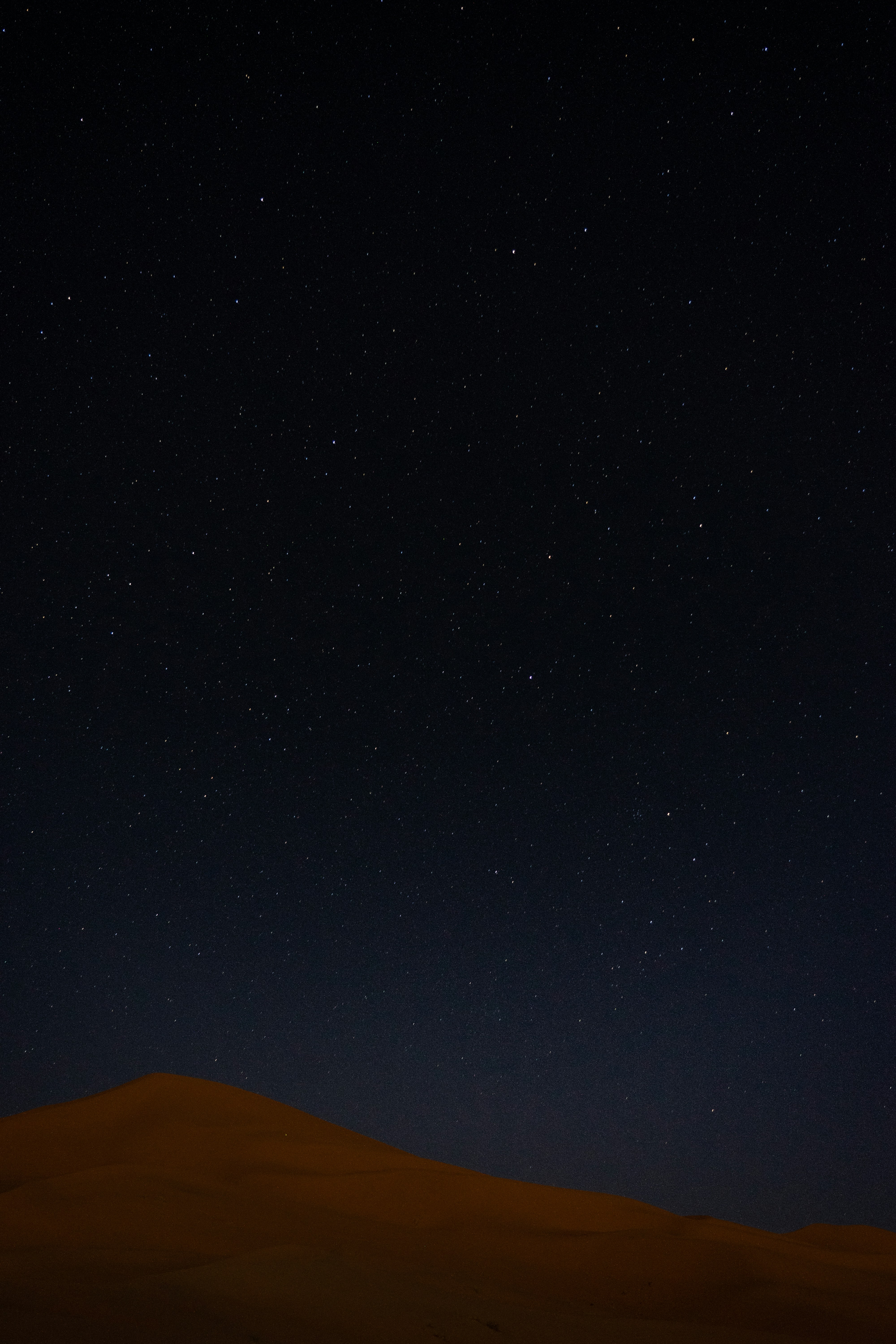 Subtle sounds of a peaceful forest at night.