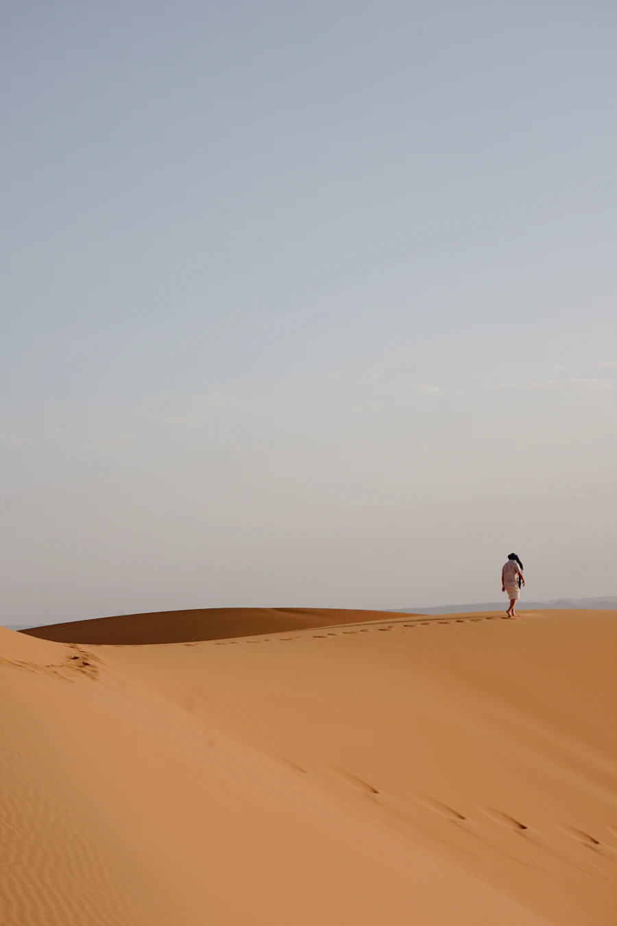 The Walk