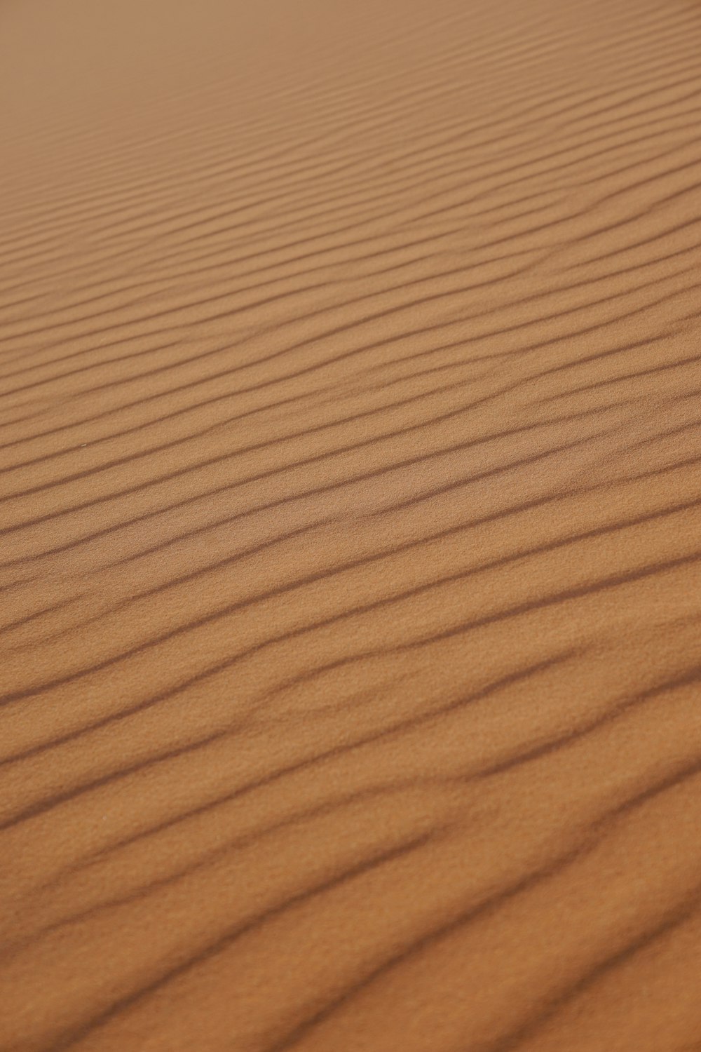 a sand dune with lines in the sand