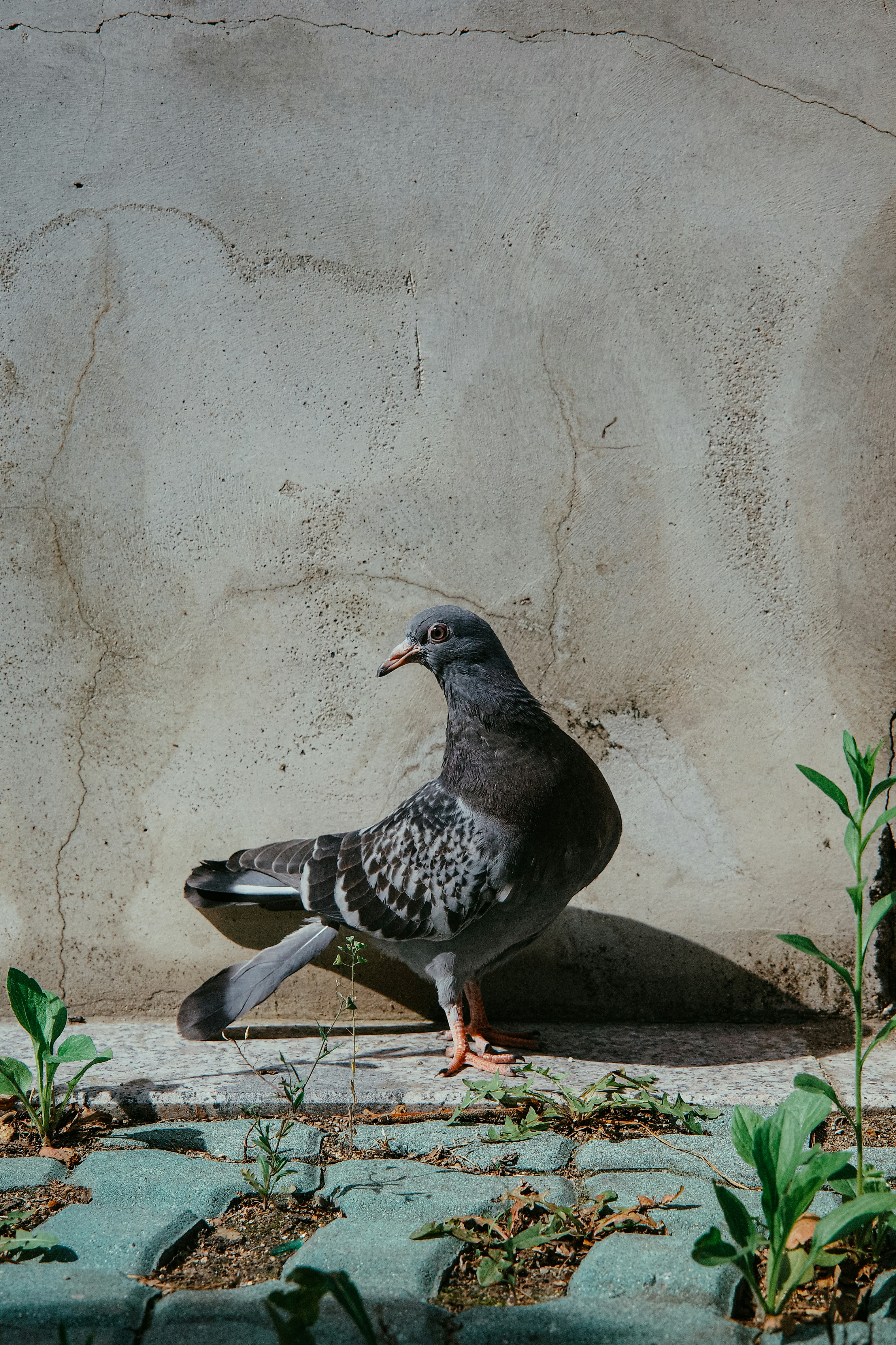 Photo by dynamicwang