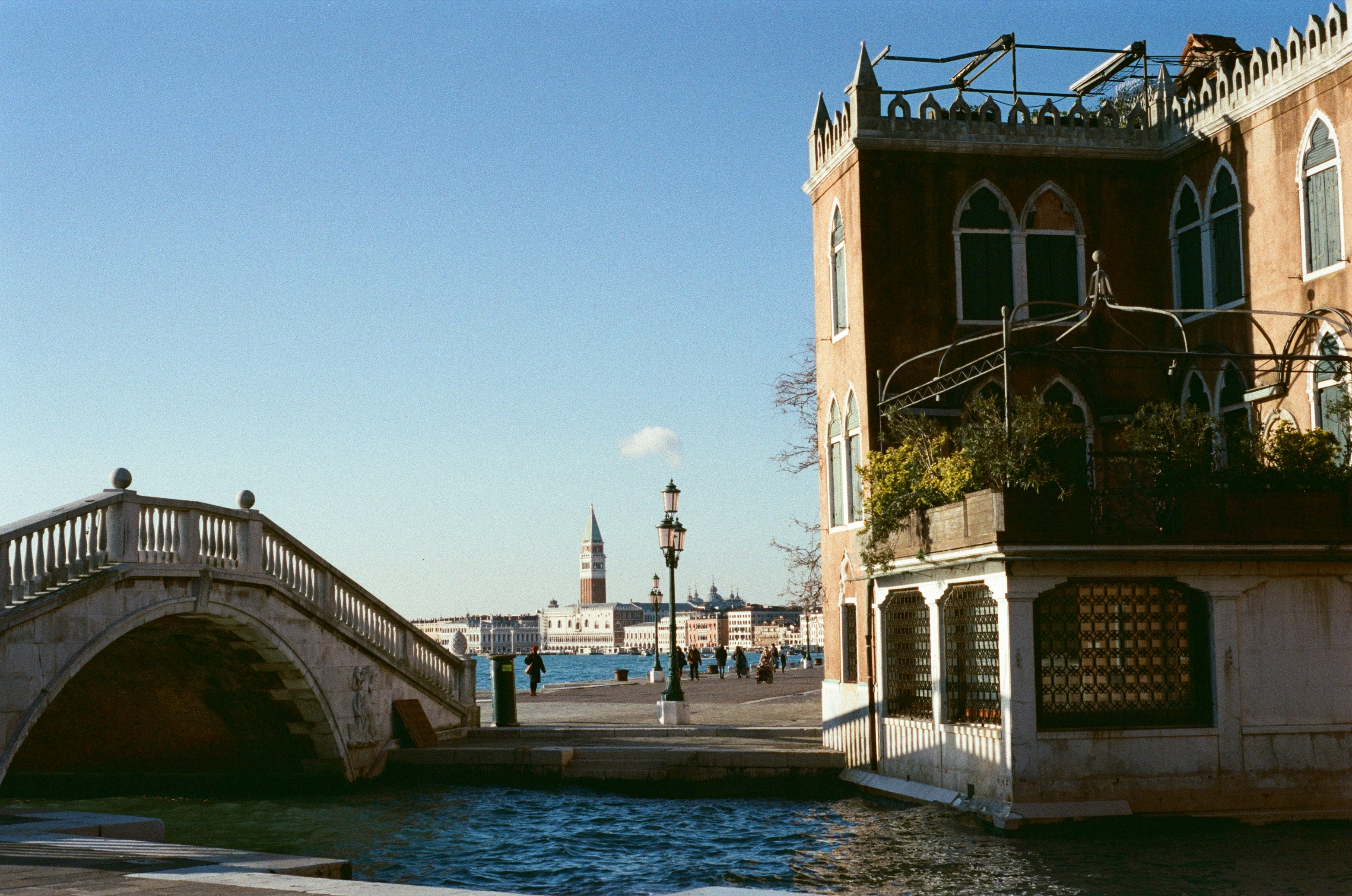 Image by Sasha Matveeva via Unsplash