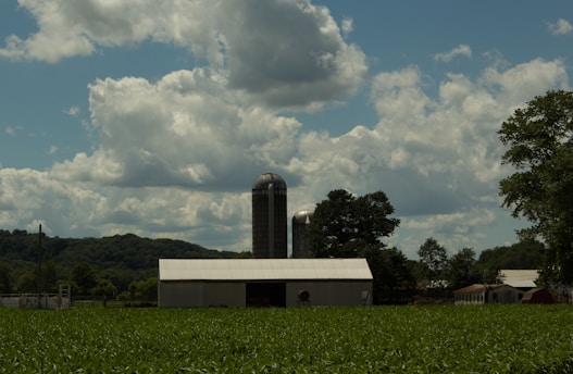 A rural landscape featuring a farm with a large barn and two silos set against a backdrop of rolling hills. The sky is filled with fluffy clouds, and the foreground shows a lush green field with crops. Trees are scattered throughout the scene, adding a natural element.