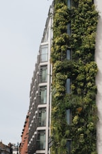 Modern sustainable building exterior with greenery integrated into the design.