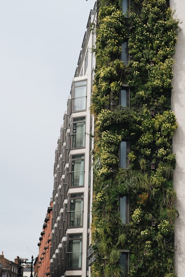 A vibrant green vertical garden integrated into a modern office building facade.
