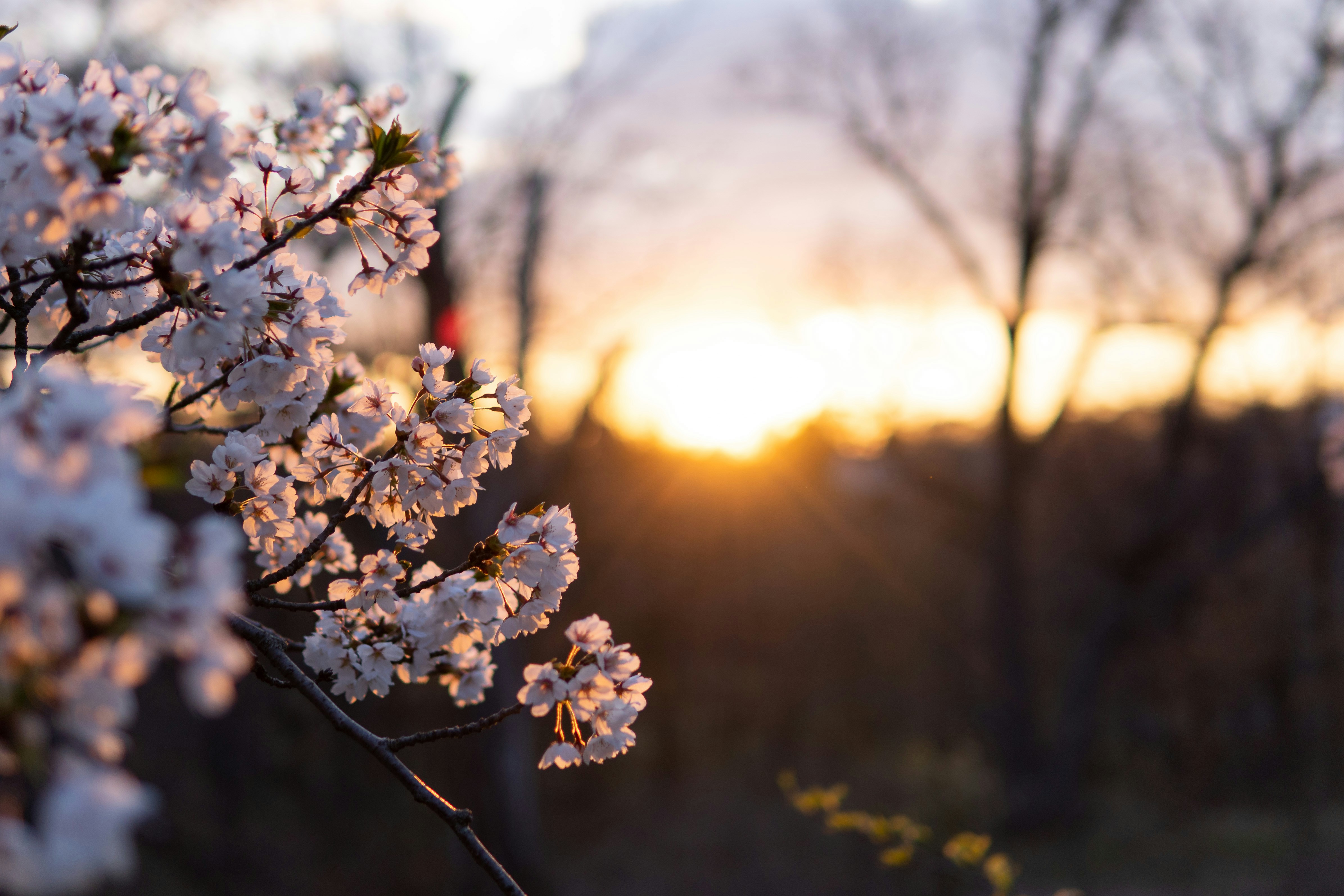 Photo by photos_by_ajay