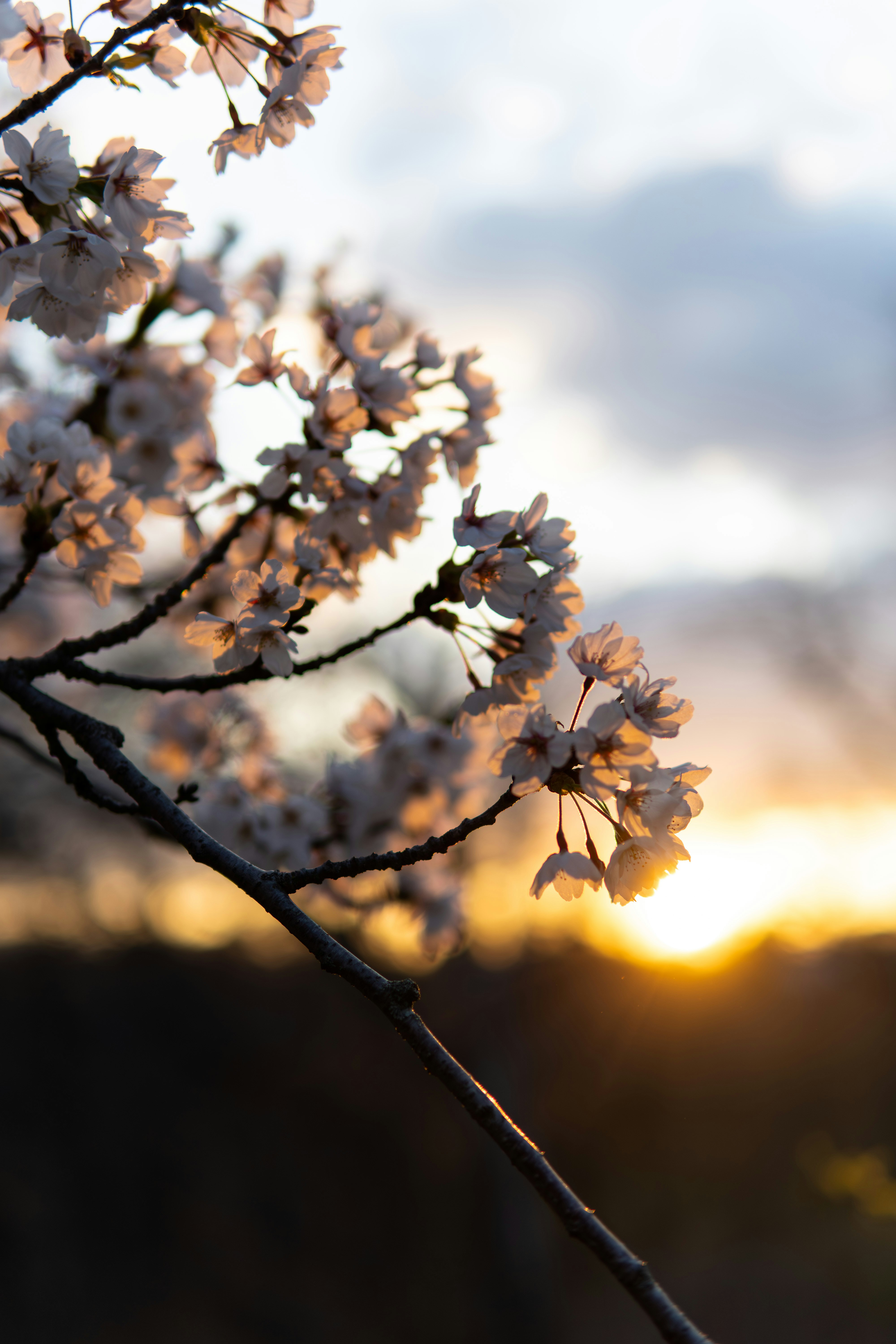 Photo by photos_by_ajay