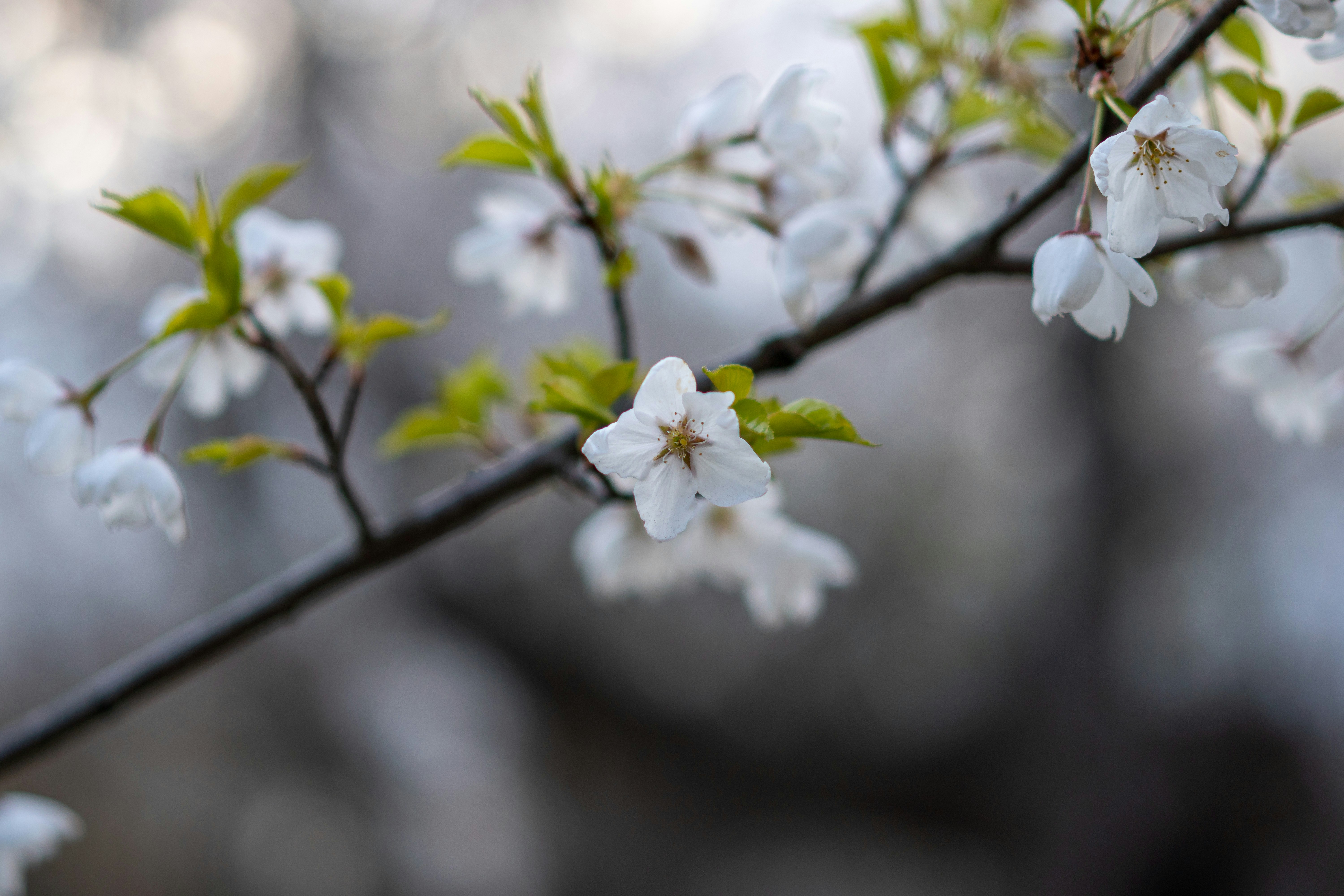 Photo by photos_by_ajay