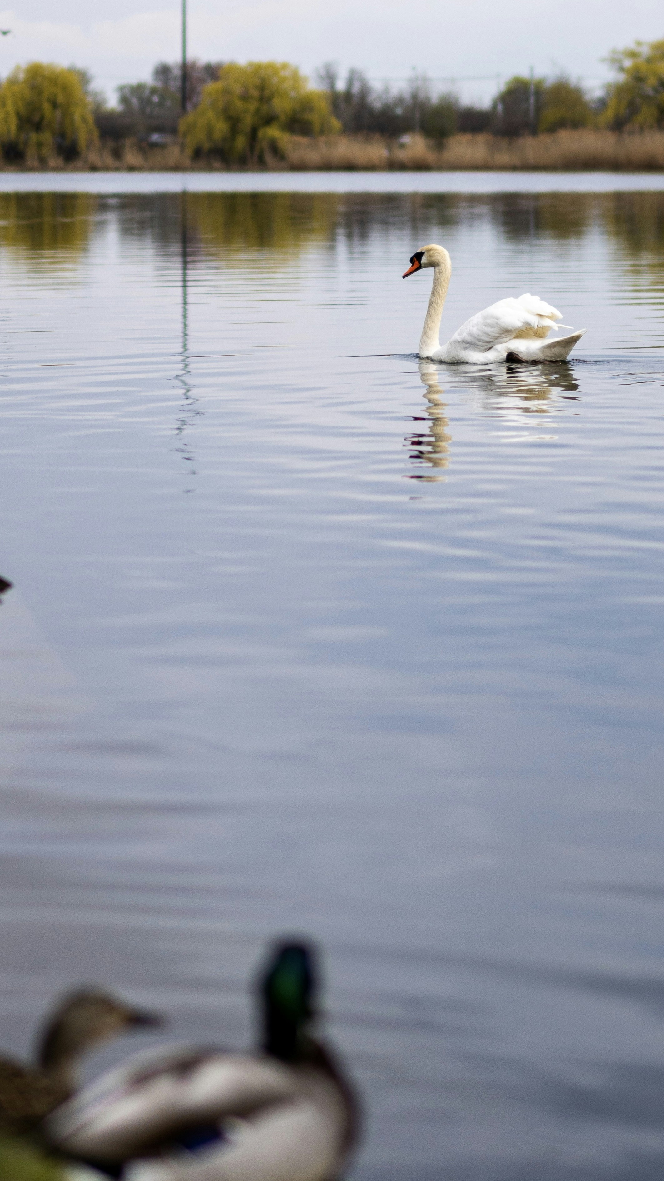 Photo by photos_by_ajay