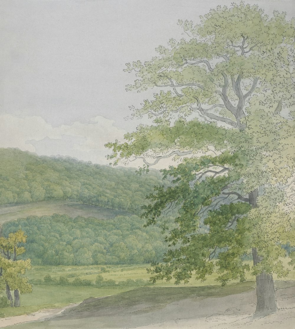 uma pintura de uma paisagem com árvores e colinas
