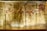 Ancient Egyptian wall carvings featuring three figures in traditional attire, adorned with headdresses, and holding various objects. Hieroglyphics and symbolic images are intricately carved around the figures, set against a slightly worn stone background. The lighting highlights the detailed artwork and enhances the colors of the carvings.